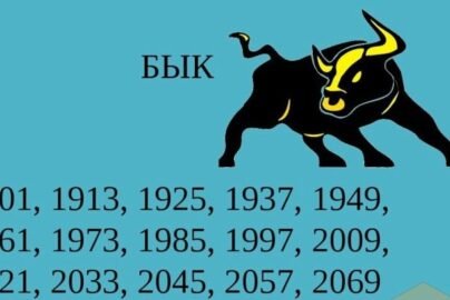 1973 рік яка тварина за східним гороскопом — опис та характеристика