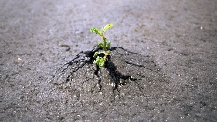 Сильний духом чоловік на вершині гори, символ внутрішньої сили